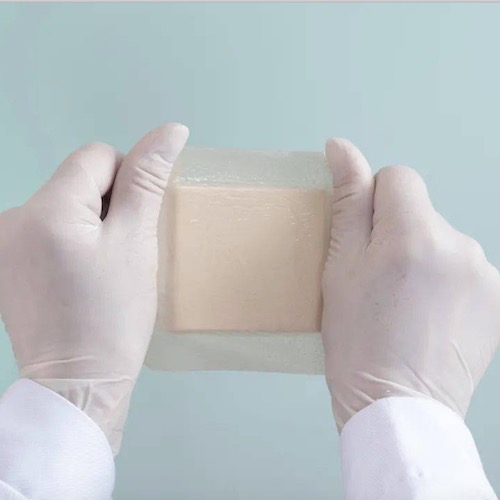 Antibakteriyel Medikal TPU Film Ne Tür Bakterilere Dirençlidir?